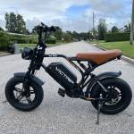 VICTRIP Ebike Profile Picture