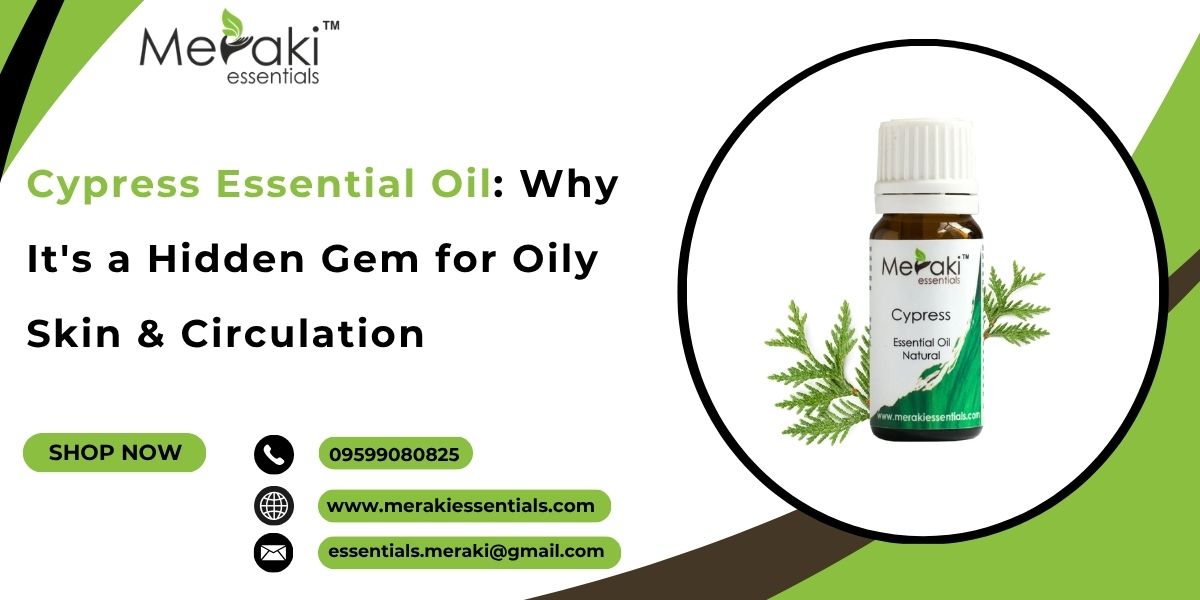 Cypress Essential Oil for Oily Skin & Circulation | Meraki Essentials